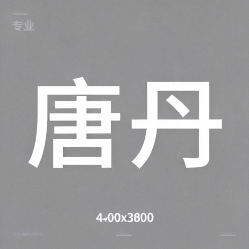 唐丹全集超清作品合集纪录片 - 百度网盘资源下载-导演库