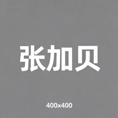 张加贝全集超清作品合集纪录片 - 百度网盘资源下载-导演库