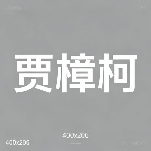 贾樟柯全集超清作品合集纪录片 - 百度网盘资源下载-导演库