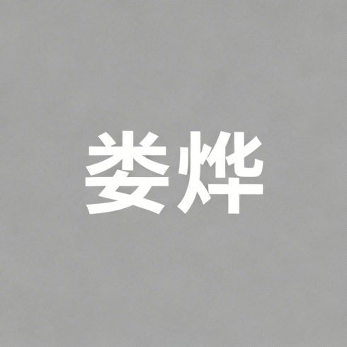 娄烨全集超清作品合集纪录片 - 百度网盘资源下载-导演库