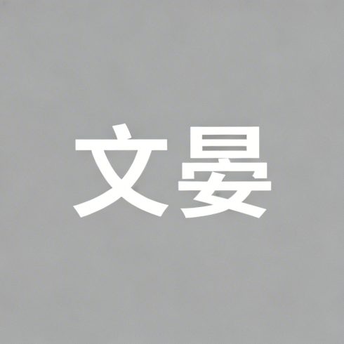 文晏全集超清作品合集纪录片 - 百度网盘资源下载-导演库