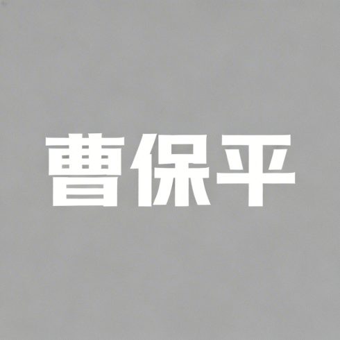 曹保平全集超清作品合集纪录片 - 百度网盘资源下载-导演库