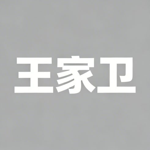 王家卫全集超清作品合集纪录片 - 百度网盘资源下载-导演库
