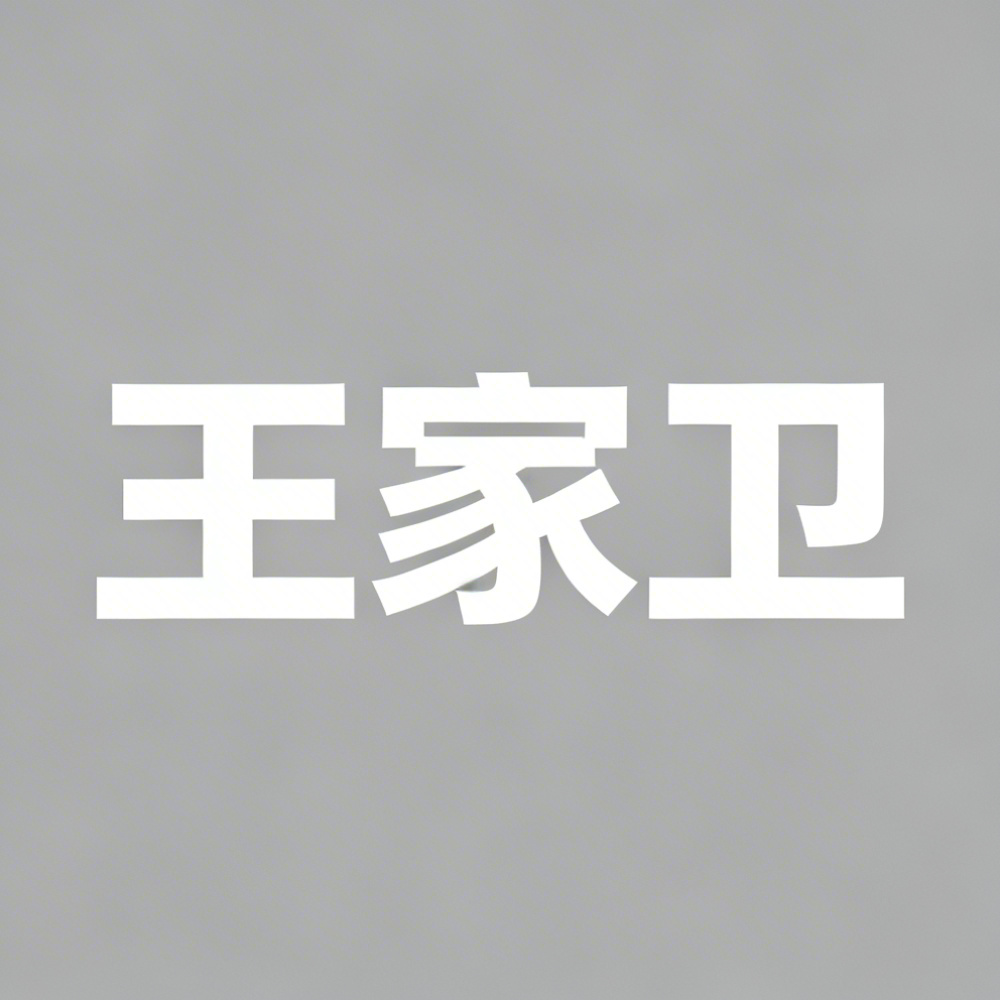 王家卫全集超清作品合集纪录片 - 百度网盘资源下载