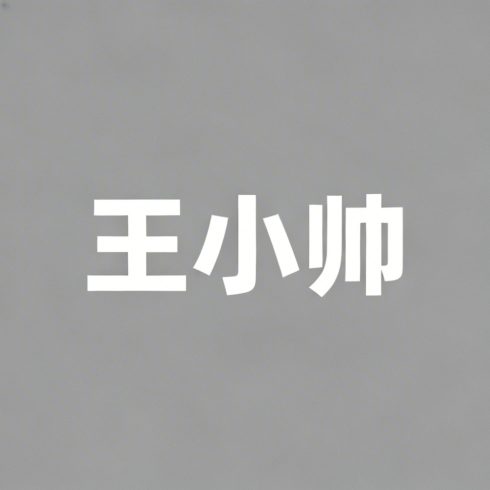 王小帅全集超清作品合集纪录片 - 百度网盘资源下载-导演库