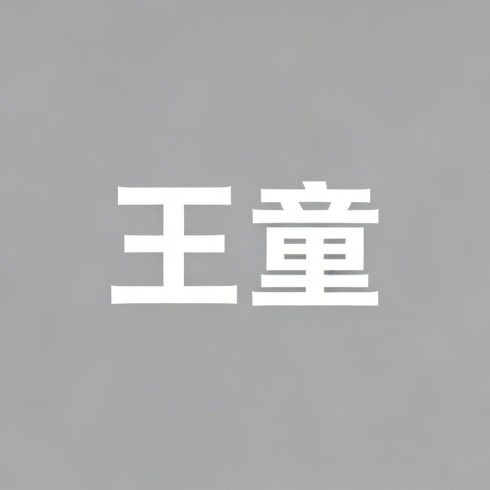 王童全集超清作品合集纪录片 - 百度网盘资源下载-导演库