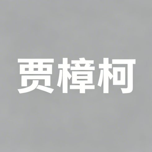 贾樟柯全集超清作品合集纪录片 - 百度网盘资源下载-导演库