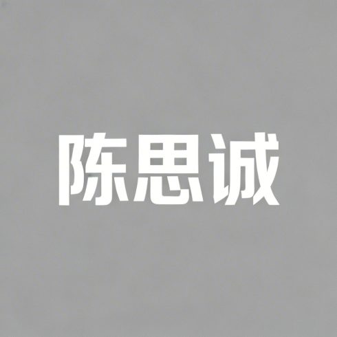 陈思诚全集超清作品合集纪录片 - 百度网盘资源下载-导演库