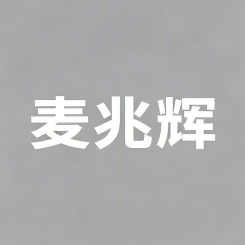 麦兆辉全集超清作品合集纪录片 - 百度网盘资源下载-导演库