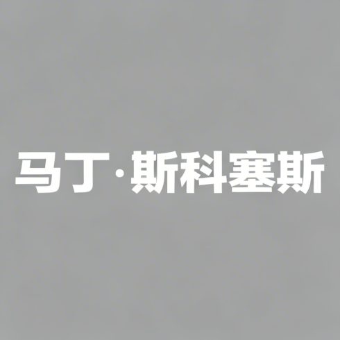 马丁·斯科塞斯全集超清作品合集纪录片 - 百度网盘资源下载-导演库